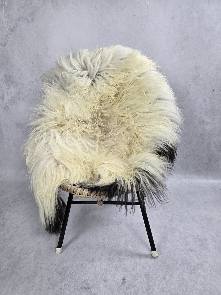 Schapenvacht IJslands- Exclusieve collectie - Woondecoratie – Wit naturel, zwart - 100% echt natuurlijke wollen vacht - 100x85 cm