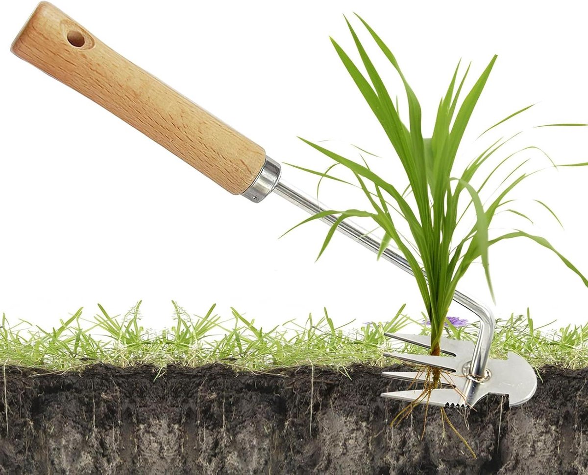 Allecto Plus - Handige onkruidsteker van roestvrij staal voor het gemakkelijk verwijderen van onkruid - Tuinonderhoud en worteltrekker - Rustieke handgreep - Geschikt voor efficiënte onkruidwieden