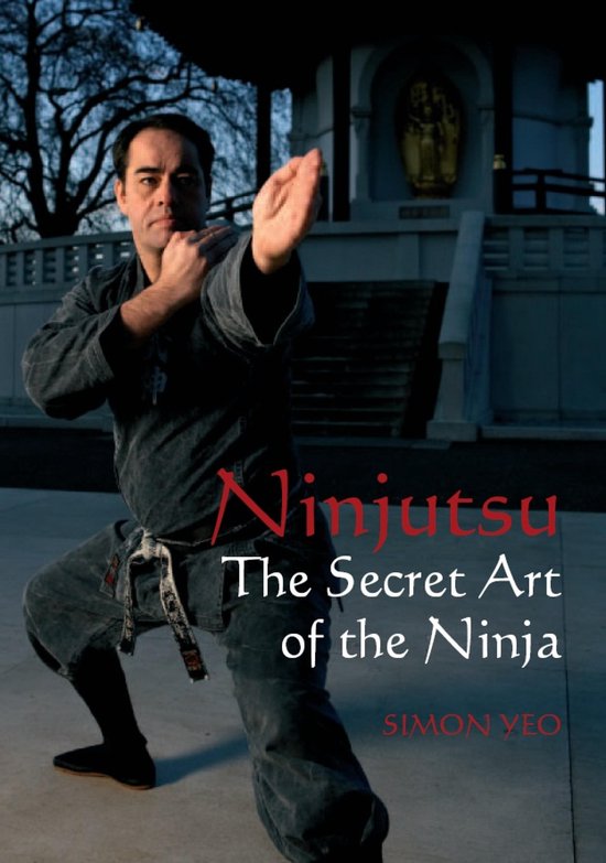 Ninjutsu - cover