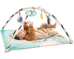 Infantino Underwater Wonders 3-in-1 Activity Speelkleed