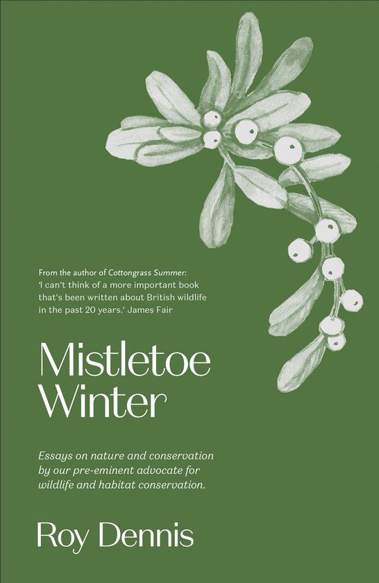 Mistletoe Winter - cover