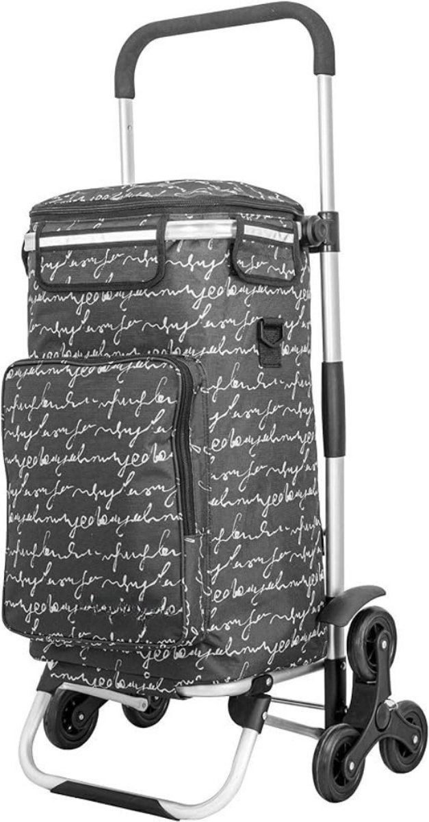 Thuys – Boodschappentrolley Met Koelvak – Boodschappenwagen – 42cm x 47cm x 20cm – Grijs