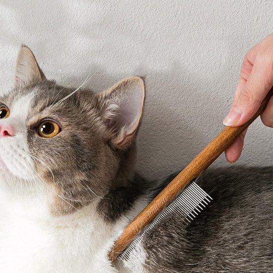 3 Houten Kattenkammen Met Roestvrijstalen Tanden – Voor Ontklitten En Vlooien