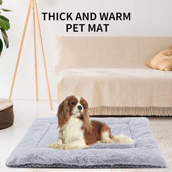 BUKLUKE Hondenkussen Grijs S 58x40 Cm - Wasbaar Zacht Stressverminderend Kussen Voor Hond En Kat