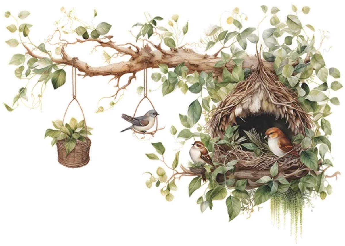 Mooie Tak Vogel Nest Muurstickers Voor Woonkamer Slaapkamer Huis Achtergrond Wanddecor Zelfklevend Vinyl Sticker Behang