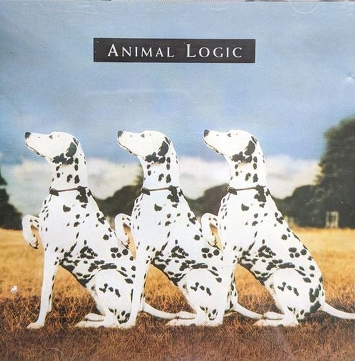 Animal Logic