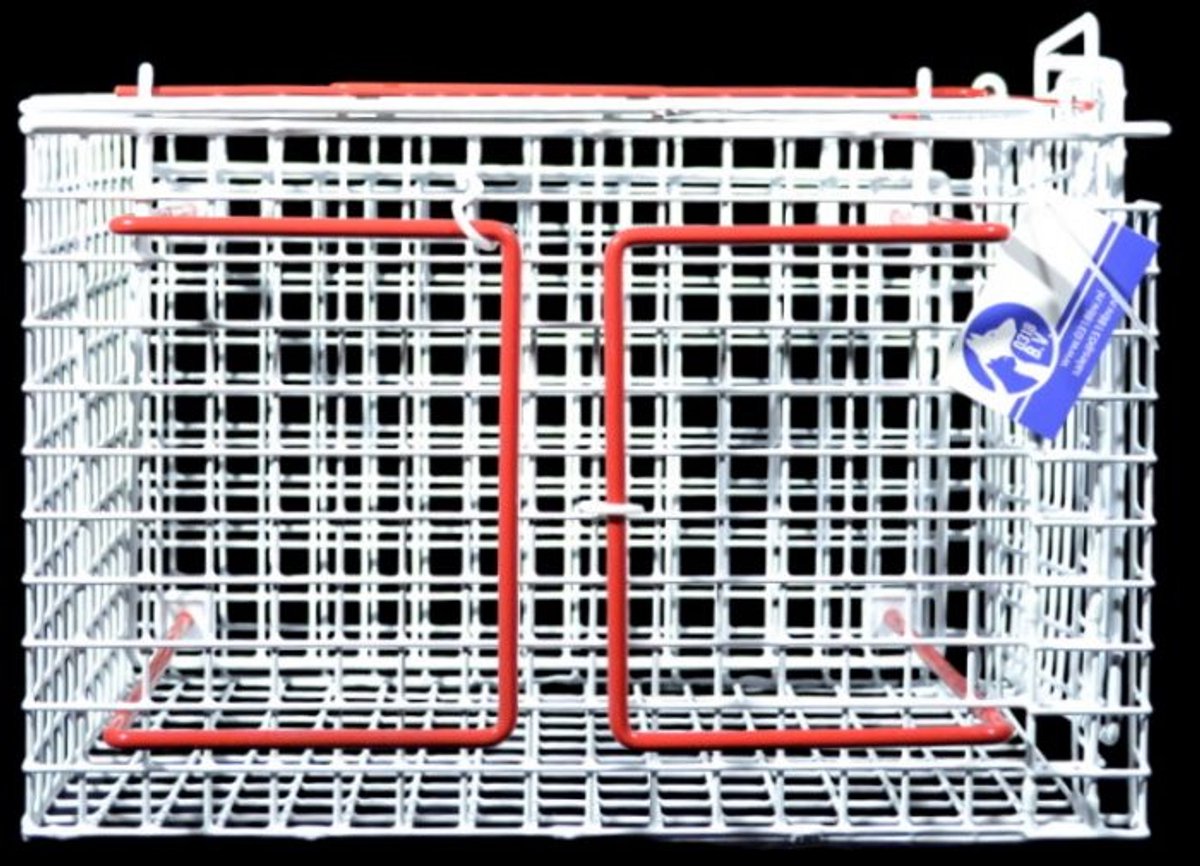 Professionele Transport- & Dwangkooi voor Katten en Kleine Dieren – Wit – Met Boven- en Zijpaneel – Lichtgewicht & Diervriendelijk