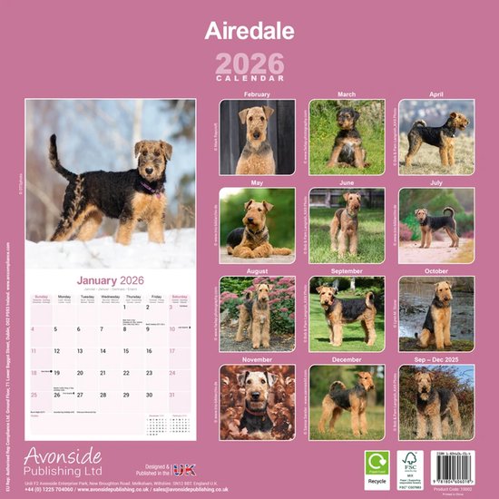 Calendrier Airedale Terrier 2026