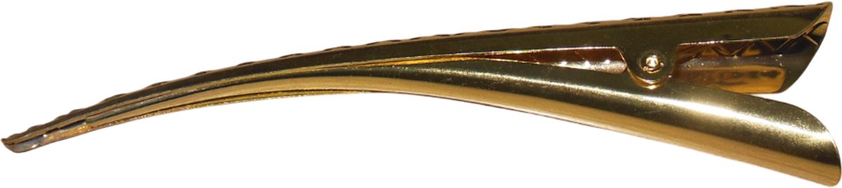 Duckklem met patroon goud