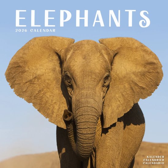 Elephants Kalender 2025 – De Kalenderman