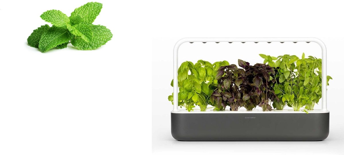 Click & Grow - Smartgarden 9 met gratis 9 extra pepermunt vullingen
