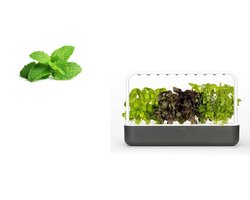 Click & Grow - Smartgarden 9 avec 9 recharges de menthe poivrée supplémentaires gratuites