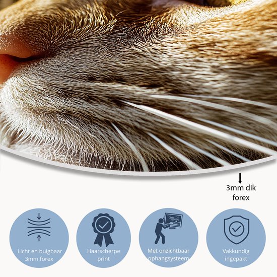 Gedetailleerde close-up kattenoog - Kat schilderij rond - Wandschaal dieren - Hyperrealisme - Forex - Interieurdecoratie kamer - Muurcirkel forex 90x90 cm