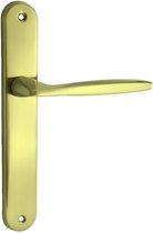 Messing gouden deurklink op langschild, met gebogen handvat, gemonteerd op een witte achtergrond.