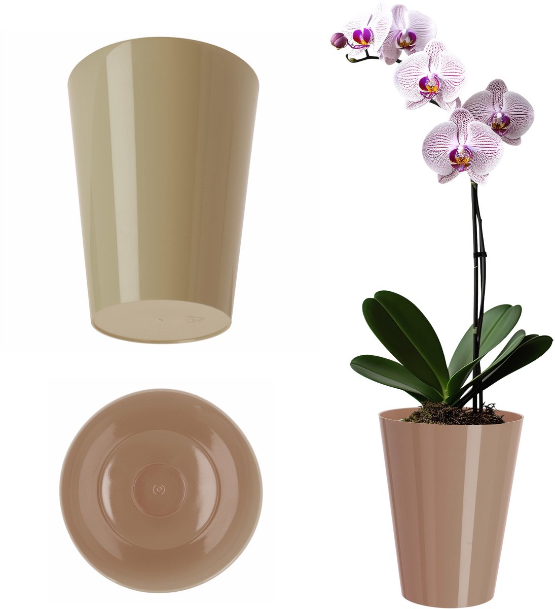 KADAX Bloempot, slanke orchideeënpot, eenvoudige plantenbak, bloempot voor orchidee, Moeras Madeliefjes, plantenbak voor keuken en woonkamer, rond, beige