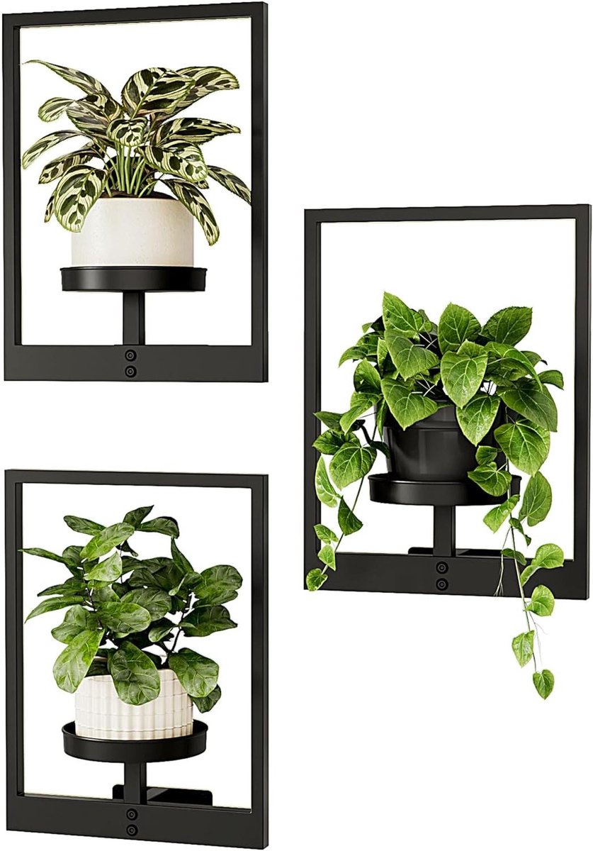 JGS Premium - Plantenstandaard voor Binnen - Metalen Hangende Plantenstandaard - Raamplantenrek 3-Pack - Fotolijst Wandplantenbakken - Vensterbank Plantenplank voor Meerdere Planten - Huisdecoratie Muurdecoratie (Ontwerp met octrooi)