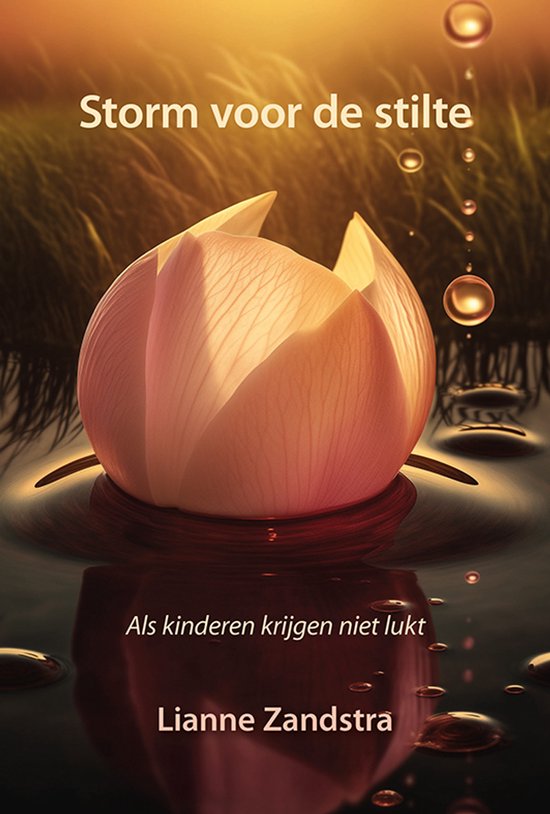 Storm voor de stilte - cover