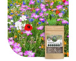 Wildbloemenmengsel - Eén- & meerjarige bloemzaden – Wilde bloemen - 45 bloemsoorten – 250 gram - Voor 125 m² – Aantrekkelijk voor vlinders en bijen