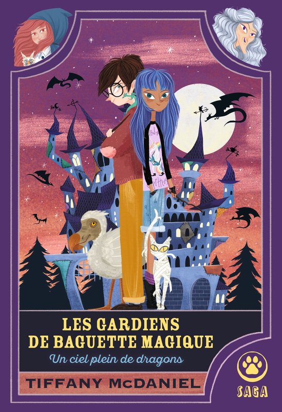 Les Gardiens de baguettes magiques 1 - Un ciel plein de dragons