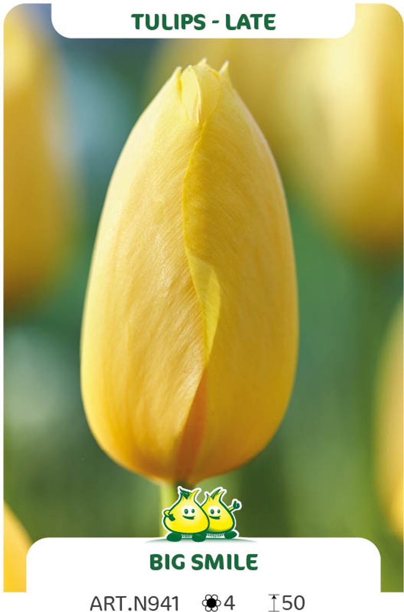 25 Tulpen Big Smile - bloembollen - Tulp - maat 12/+