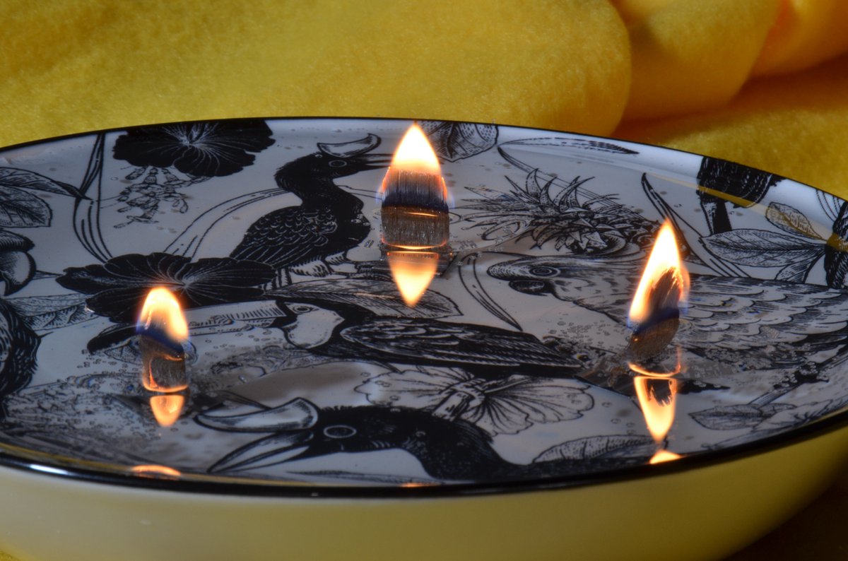XXL "JUNGLE" gelkaars met 3 houten pitten in "JUNGLE" thema - Gemaakt door Candles by Milanne - BEKIJK VIDEO