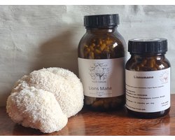 Lion's mane Capsules 120 stuks - biologisch en lokaal - ENERGIE, FOCUS EN HELDERHEID - 500mg
