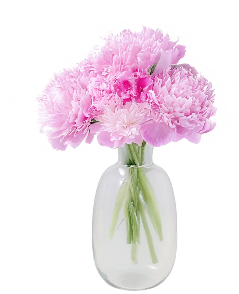 DK Design Bloemenvaas Mira - fles vaas model - transparant glas - 21 x 37 cm - boeketvazen