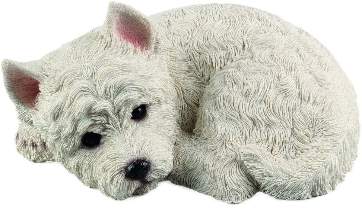 Liggende Westie