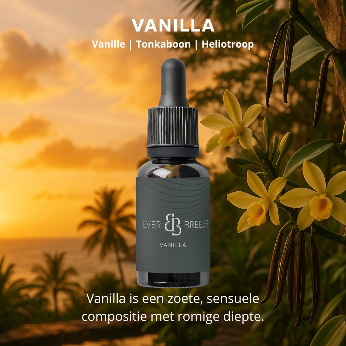 Ever-breeze Vanilla Sky - Auto Parfum - Zoete Luxe met Vanille, Tonkaboon en Heliotroop - Warme Geur - Premium Auto Parfum