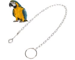 Split van RVS - voor Grote Papegaai - Huisdier Training - Catena Pappagalli - Voetketting - Vogel Poten - Papegaai Enkeltje - Ring Voor Vogels