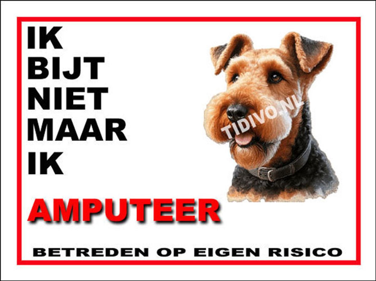 Airedale Terrier 5