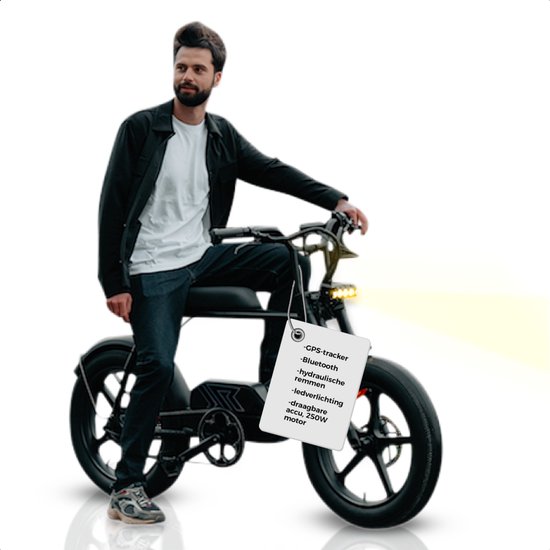 Pulse Q.1 City Fatbike El...