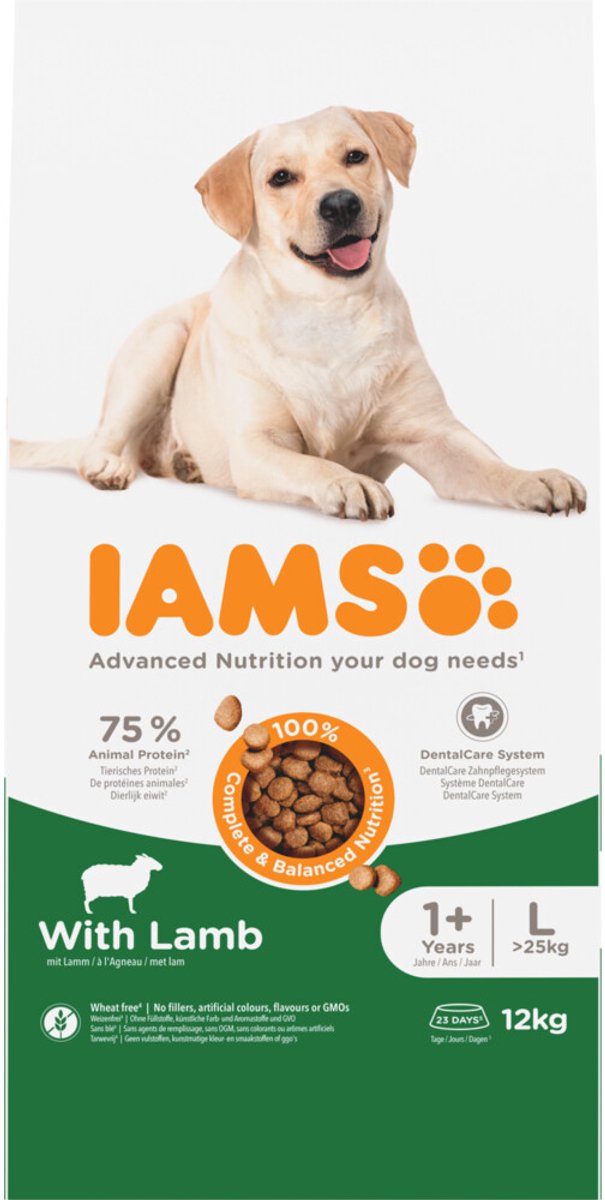 12kg IAMS Advanced Nutrition Adult Large Dog met lam droogvoer voor honden