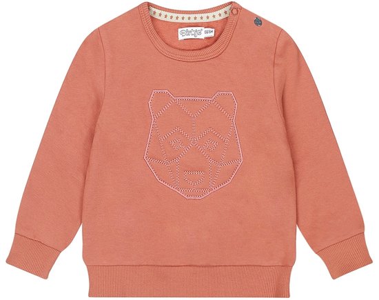 Pull Dirkje Garçons - Rouille
