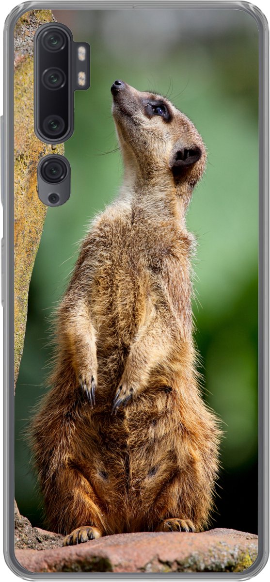 Telefoonhoesje Geschikt voor Xiaomi Mi Note 10 hoesje - Stokstaartje - Dier - Rots - Siliconen Telefoonhoesje Telefoonhoesje