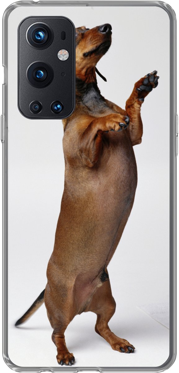 Telefoonhoesje Geschikt voor OnePlus 9 Pro hoesje - Een Teckel die op haar achterste twee poten staat - Siliconen Telefoonhoesje Telefoonhoesje