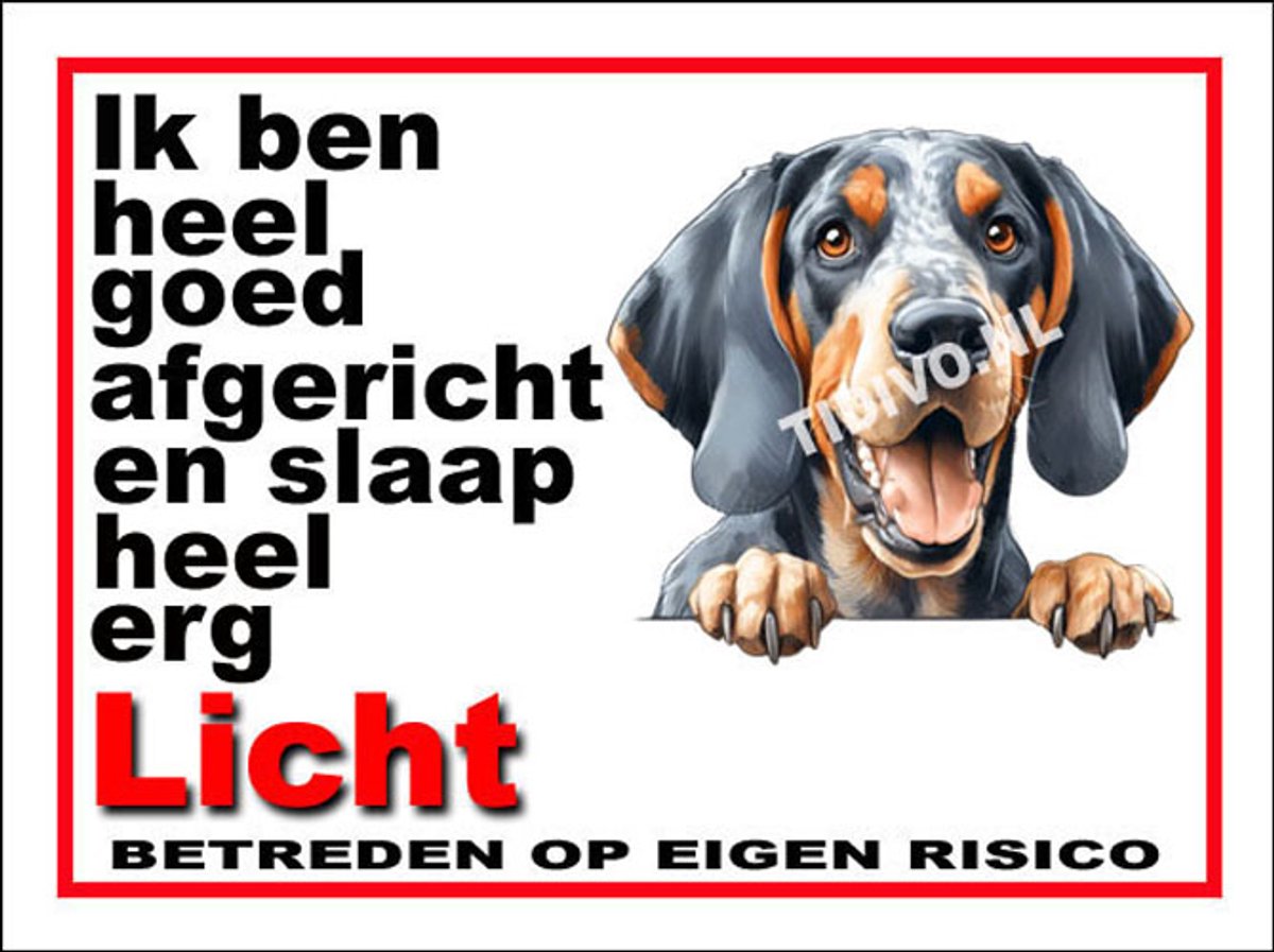 Bluetick Coonhound 4