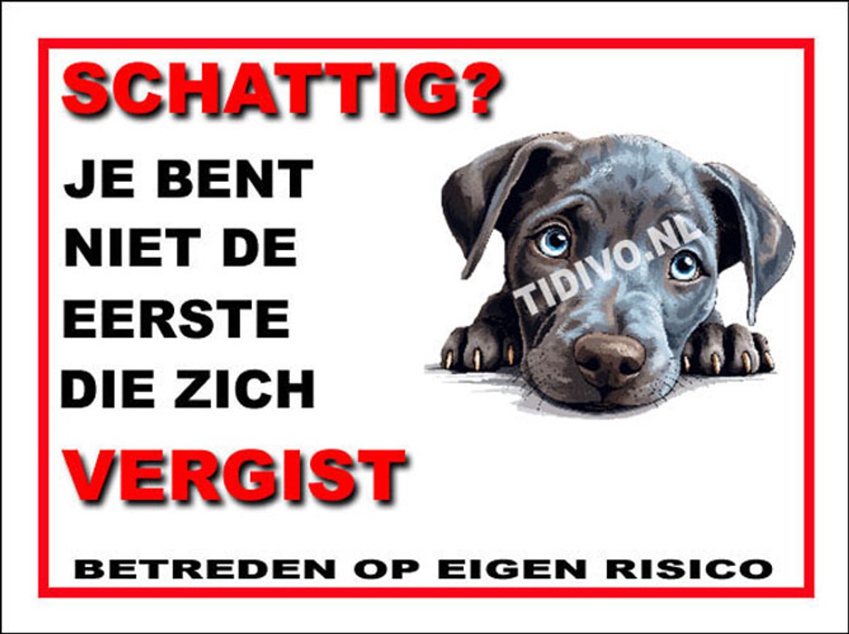 Blue Lacy 14
