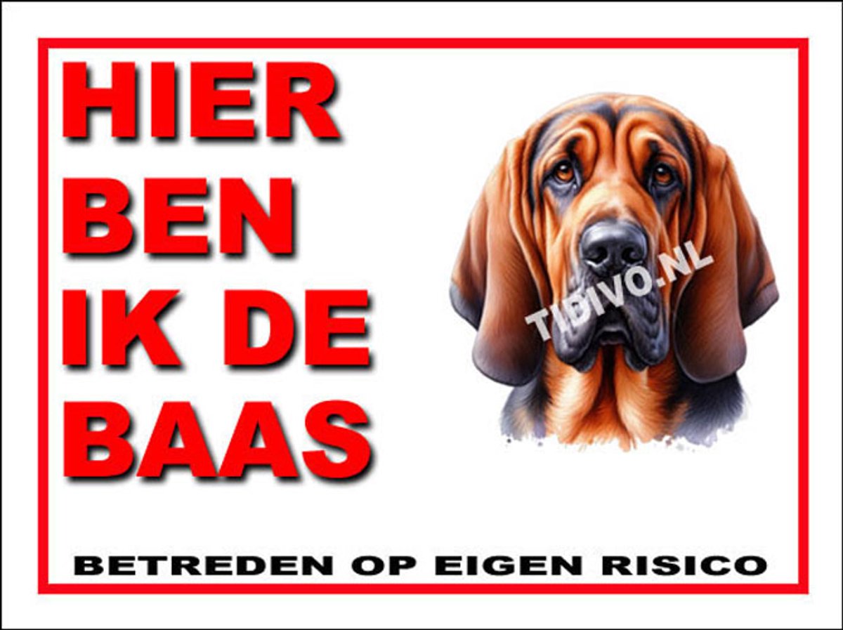 Bloedhond 2