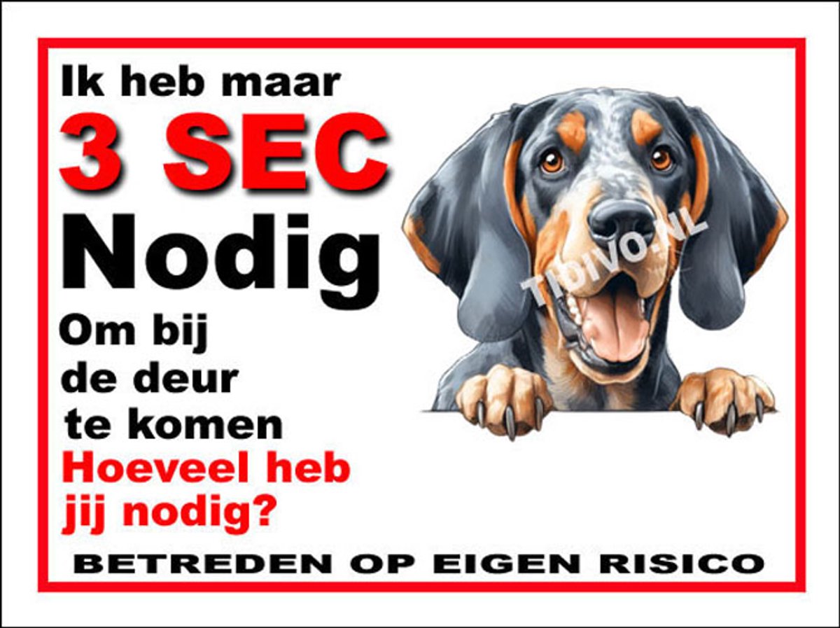 Bluetick Coonhound 6