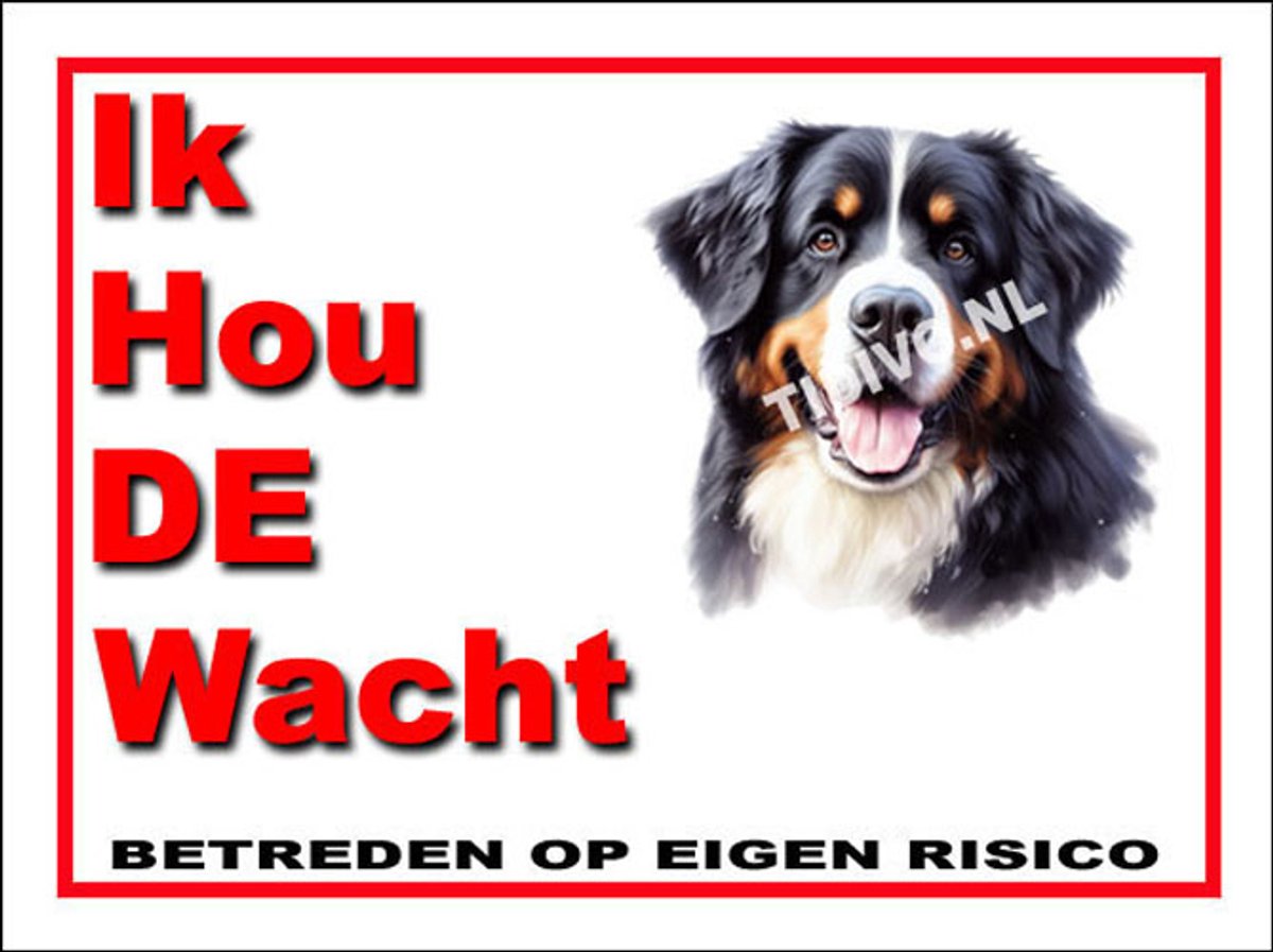 Berner Sennenhond 7