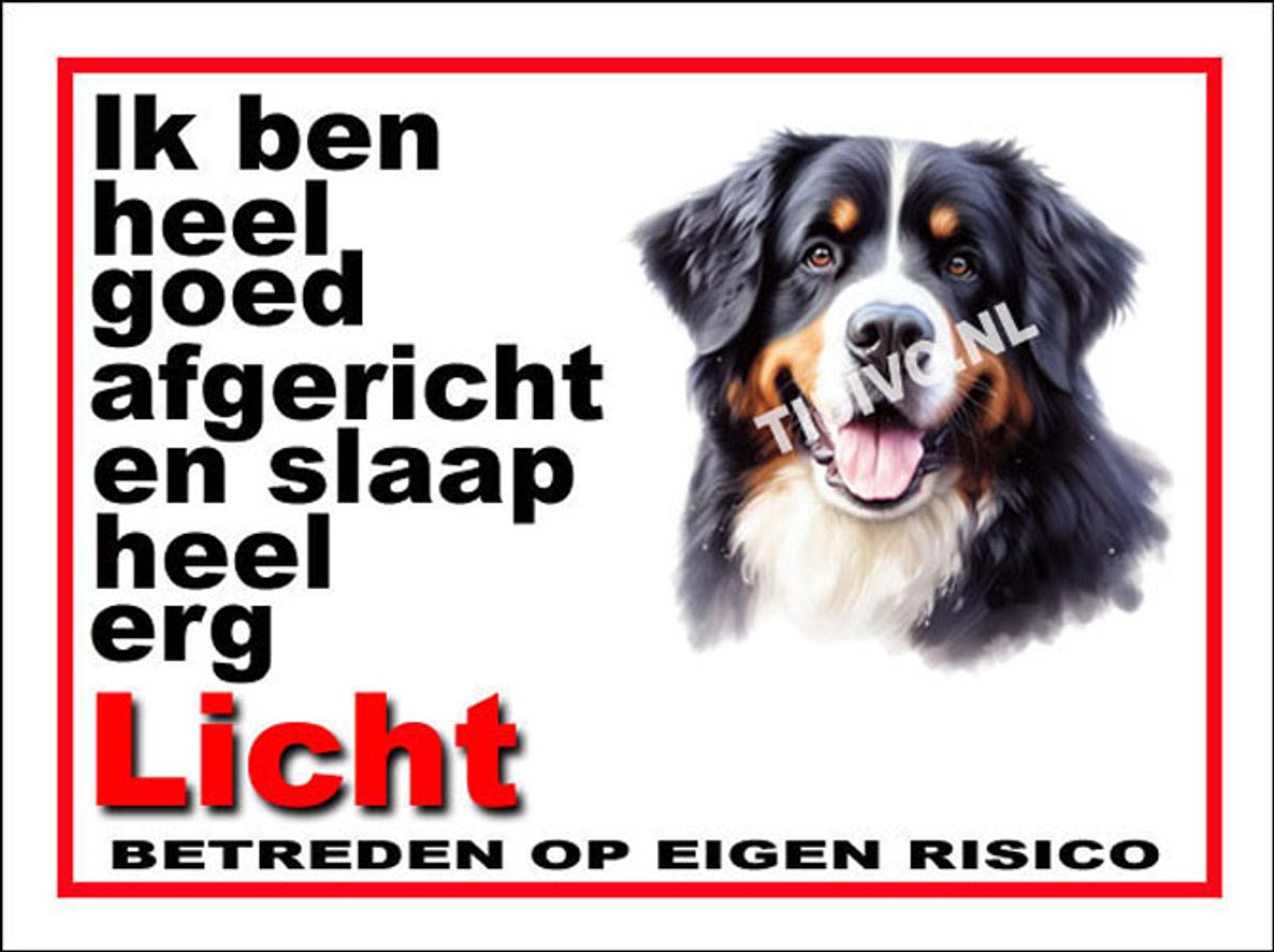 Berner Sennenhond 4