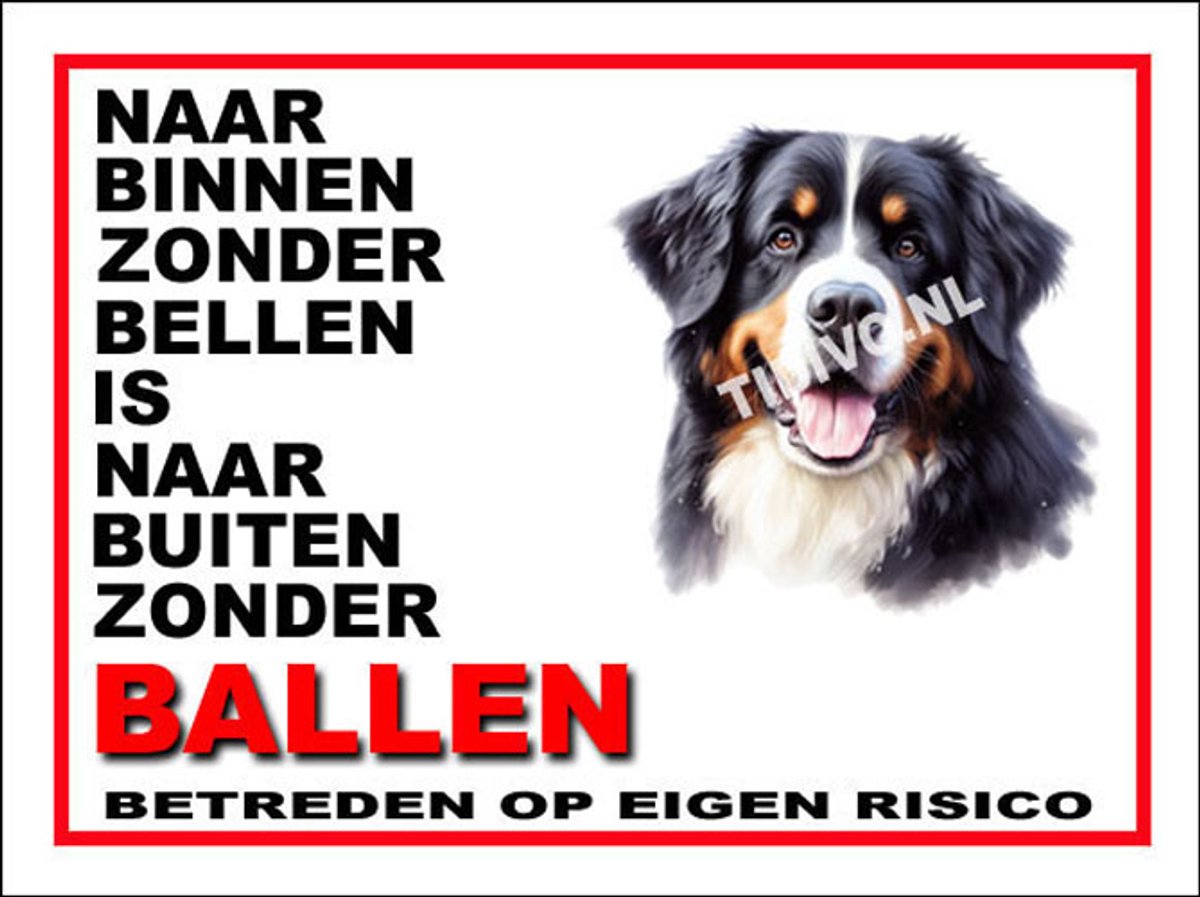 Berner Sennenhond 11