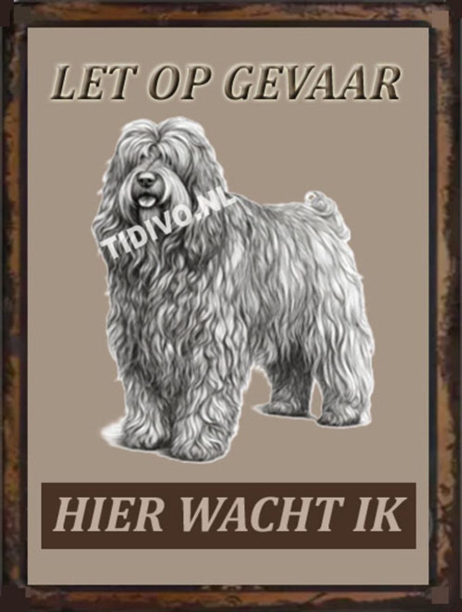 Bergamasco 18