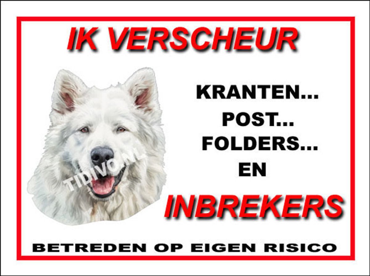 Berghond van de Maremmen 8