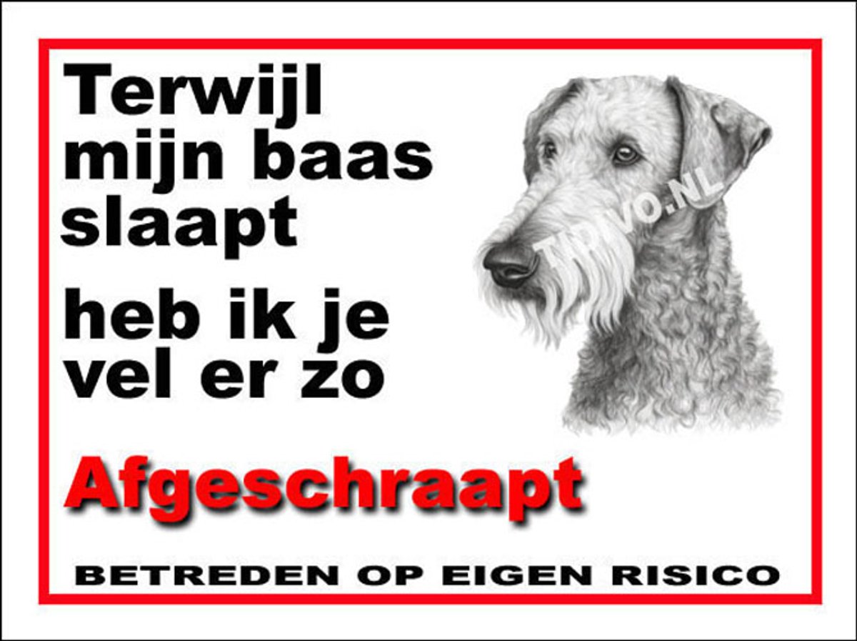 Bedlington Terrier 15