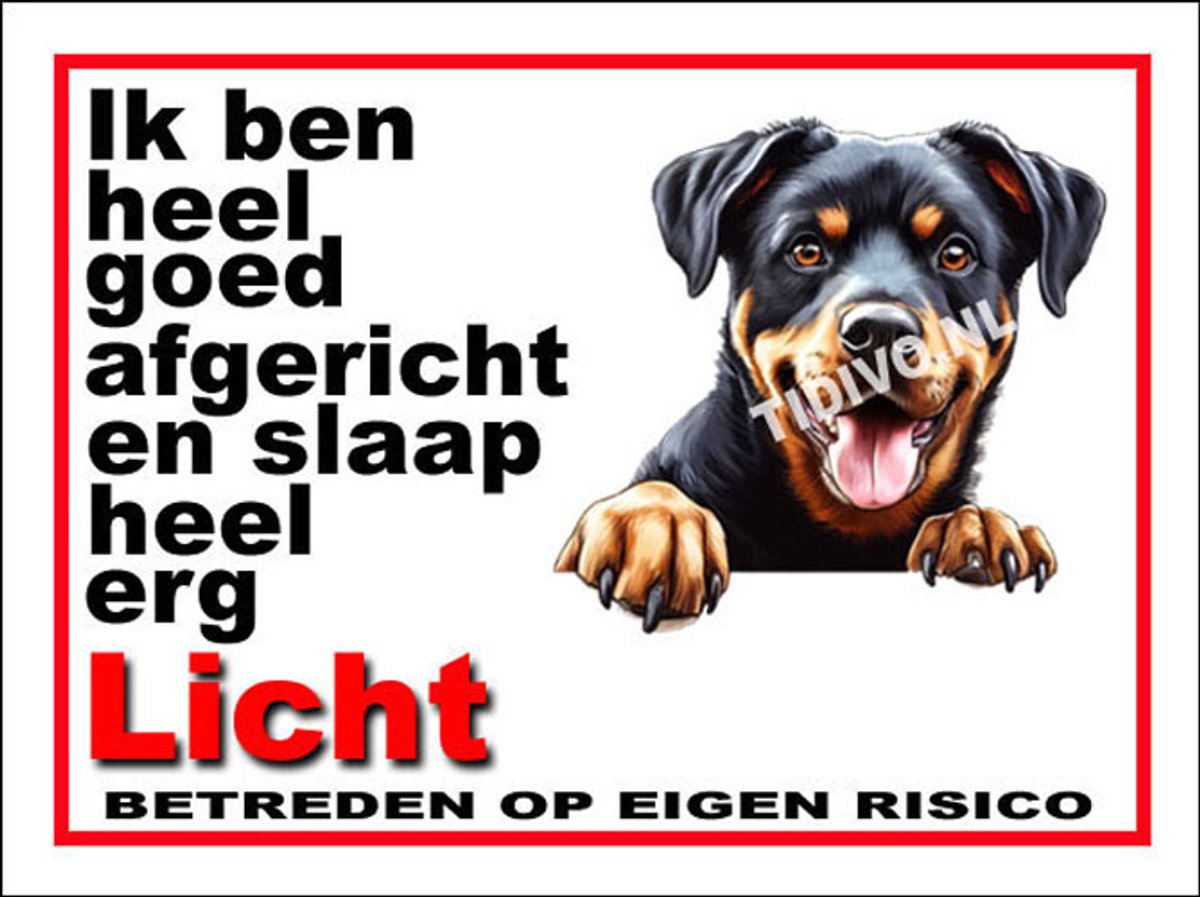 Beauceron 4
