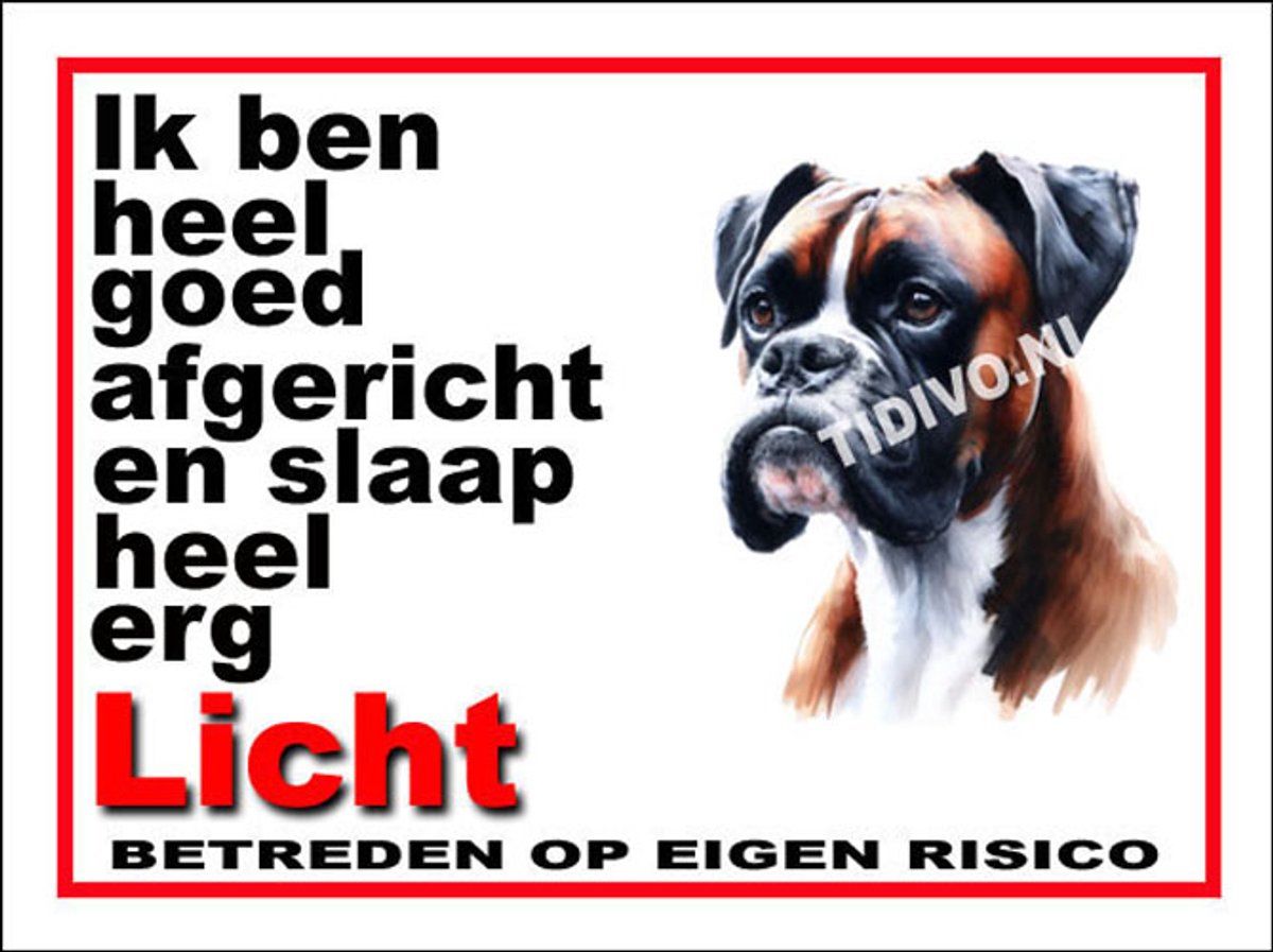 Boxer 4