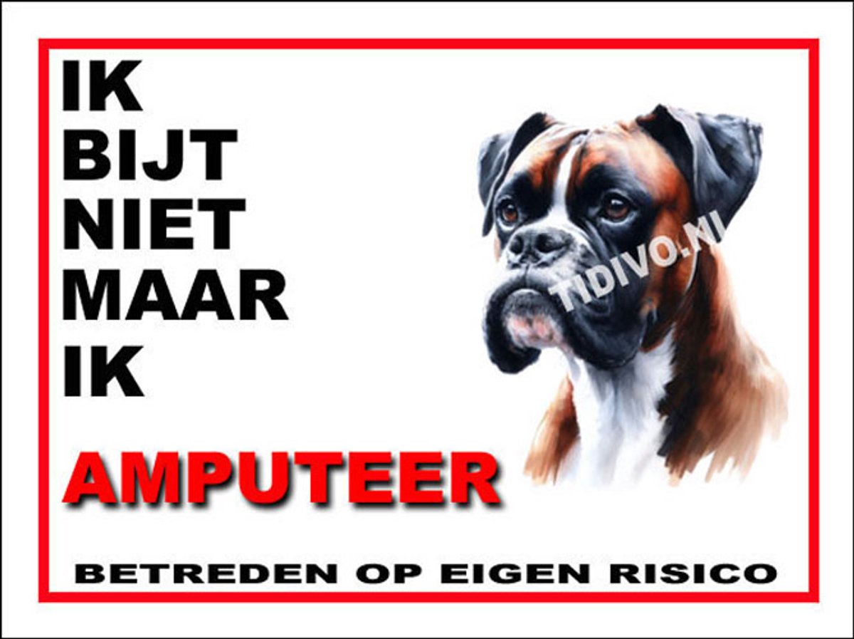 Boxer 5