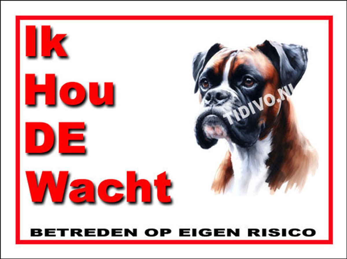 Boxer 7